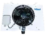 Belluna P207